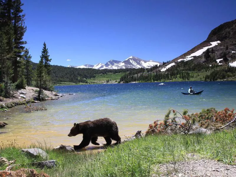 Tenaya Lake in Yosemite National Park