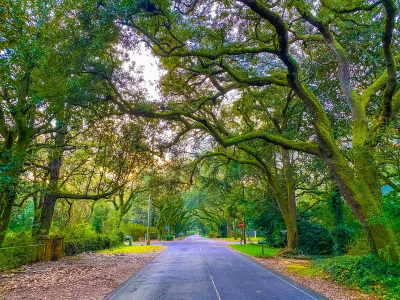 Oak Street , Magnolia Springs , Alabama USA