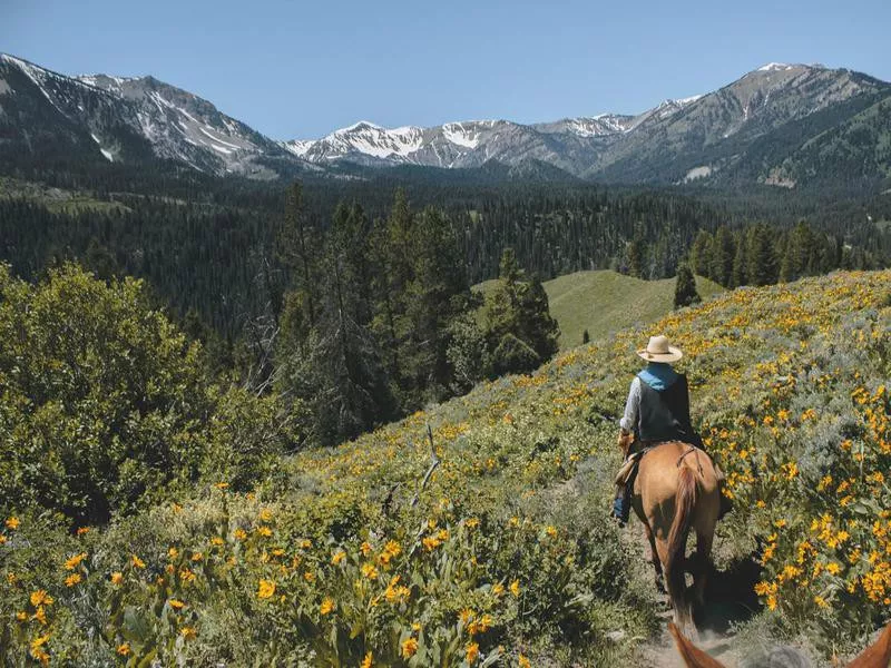 Horseback riding in the spring at Grand Tenon National Park