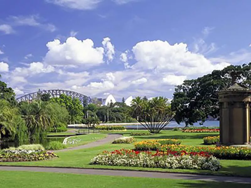 Sydney Royal Botanic Gardens