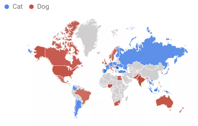 Cat vs Dog