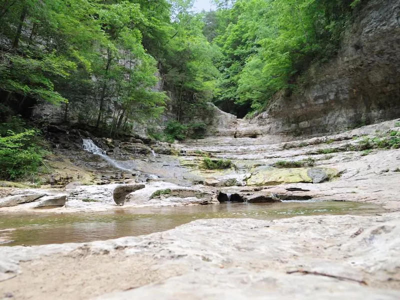 Jericho Trail