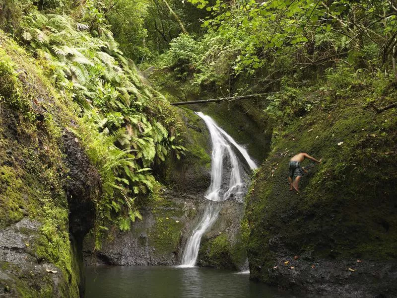 Rainforest waterfall in the Cook Islands