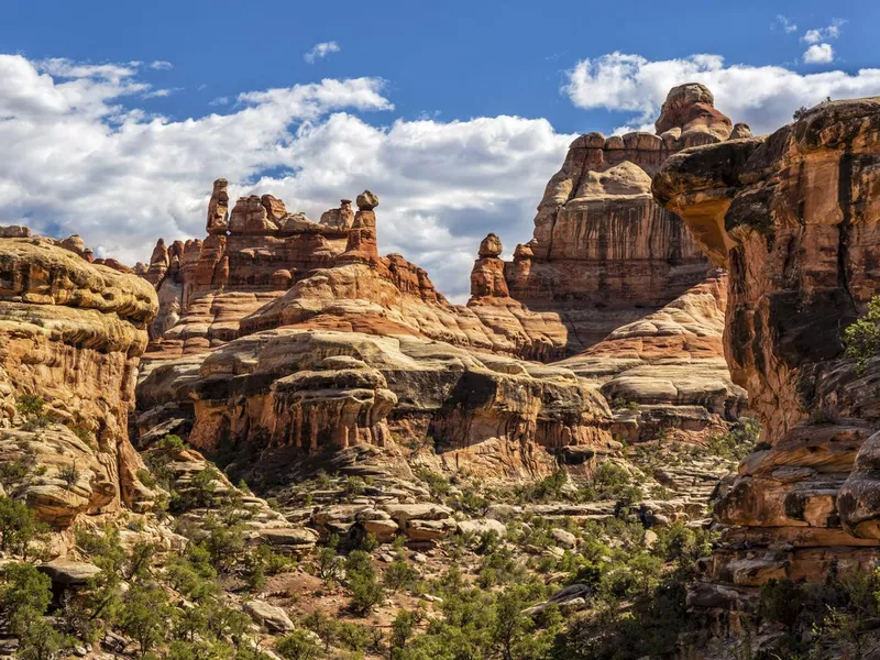 Elephant Canyon, Canyonlands National Park, Utah