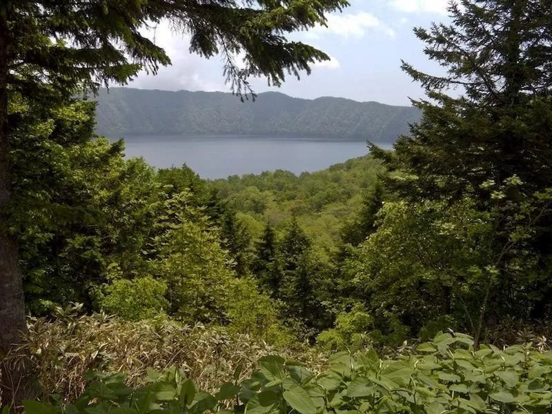 Hokkaido Nature Trail