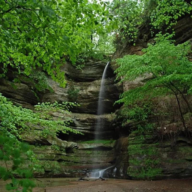 Wildcat Canyon Falls