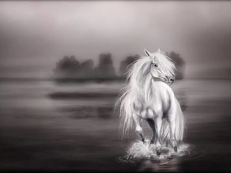 Ghost Horse