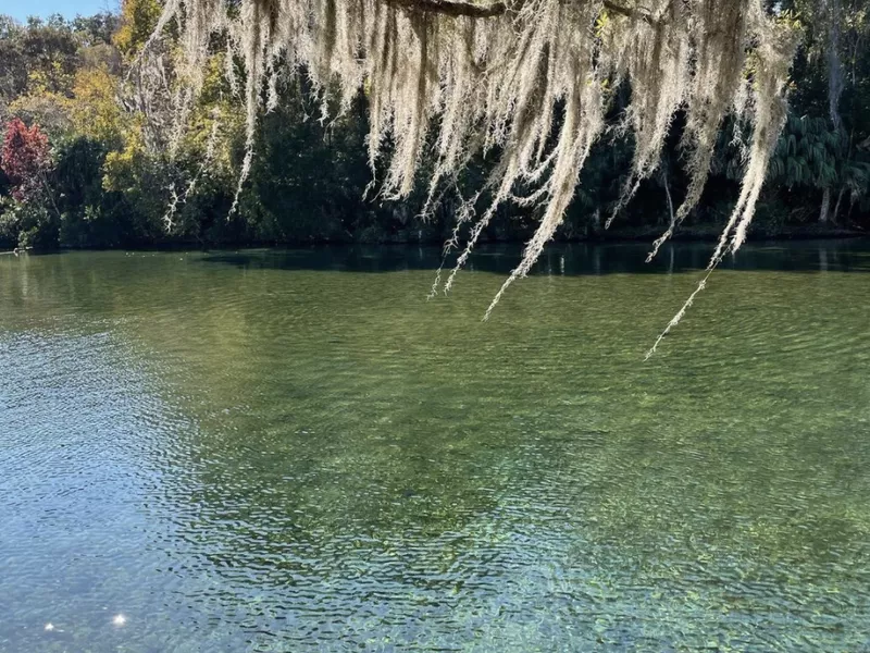 Salt Springs, Florida