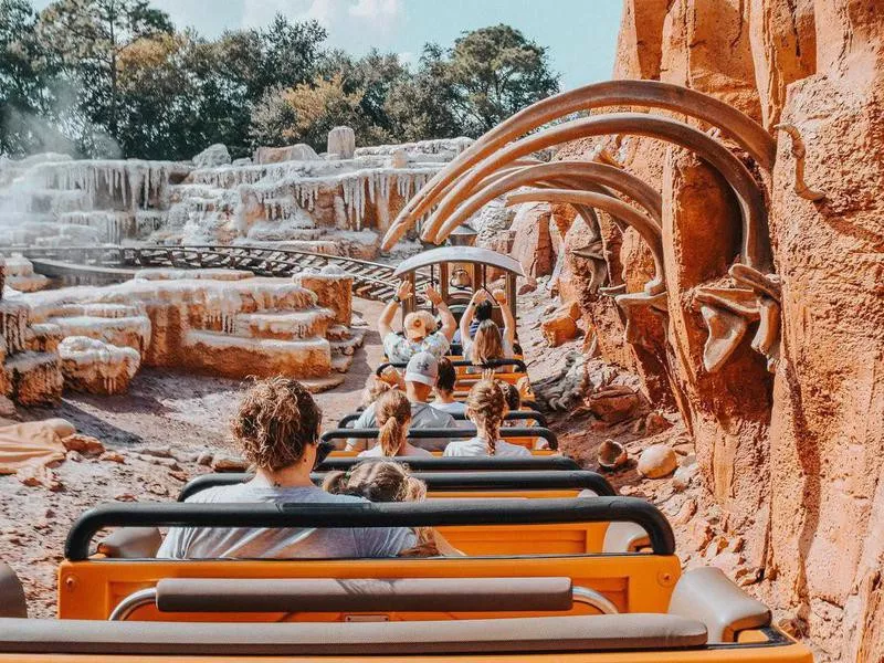 Tourists in ride at Disney World