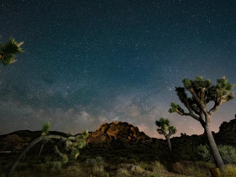 Nights under the Milky Way in Joshua Tree