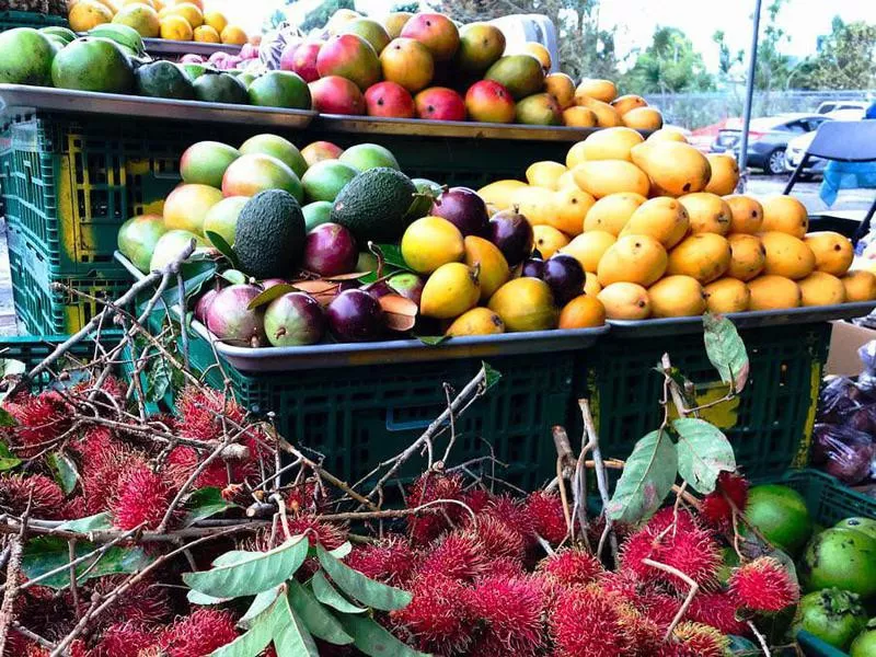 Fresh fruits and vegetables at the Hilo Farmers Market