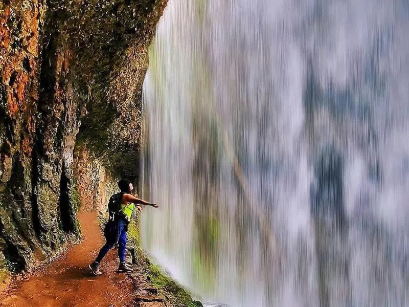 Hiker in Silver Falls State Park