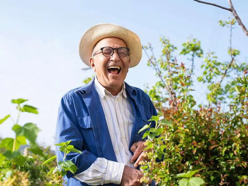 Greek farmer laughing