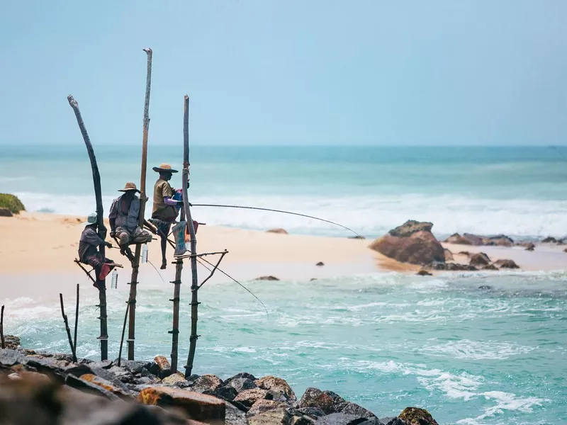 Stilt fishermen of Sri Lanka