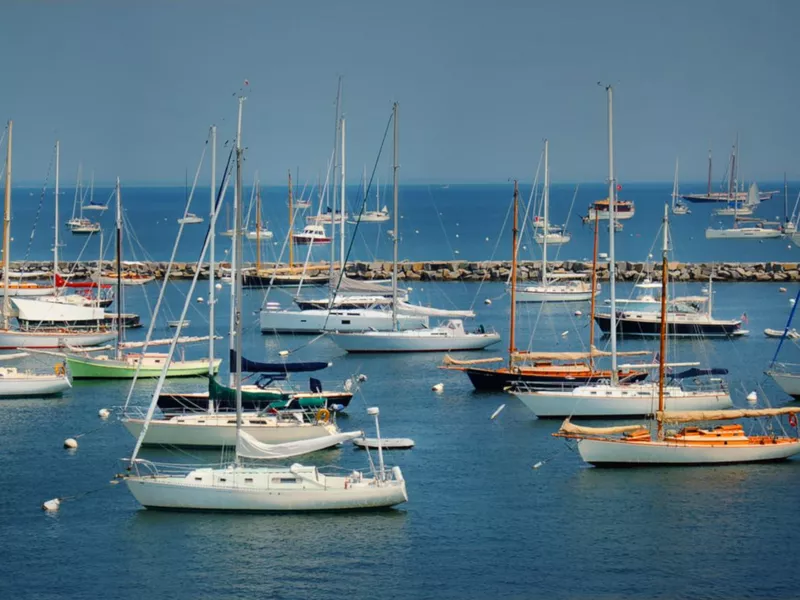 Vineyard Haven Harbor Summer Boats