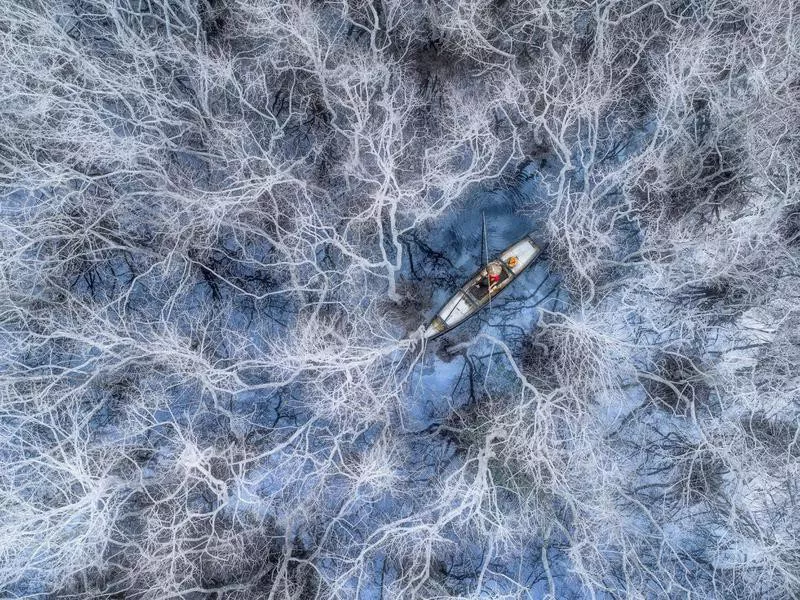 Fisherman in mangrove forest, Vietnam