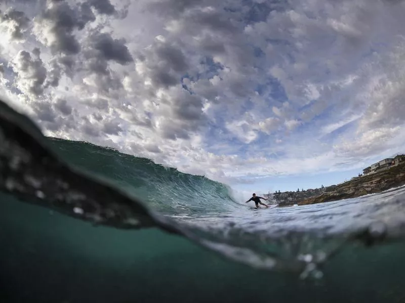 Tamarama Beach