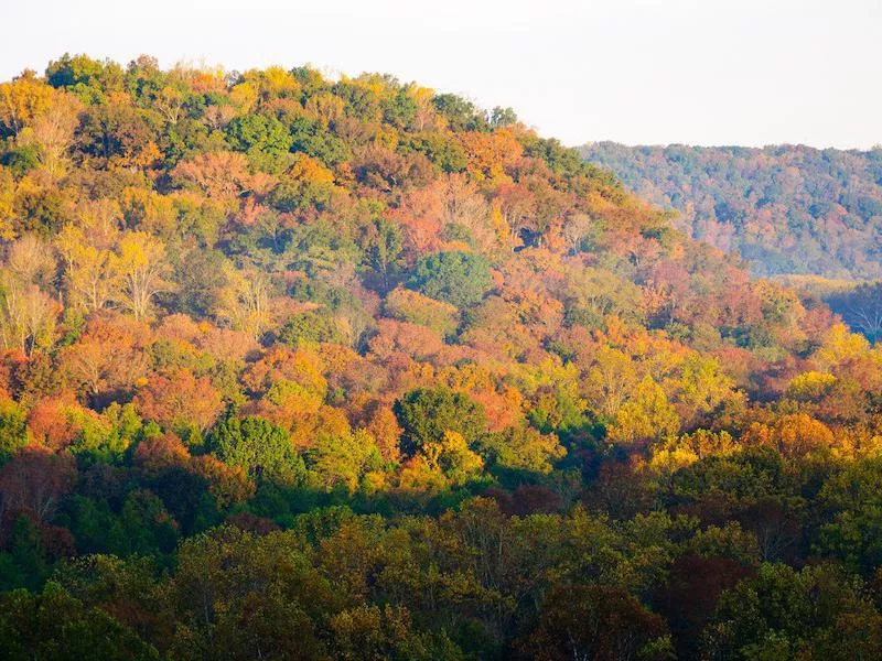 Mammoth Cave