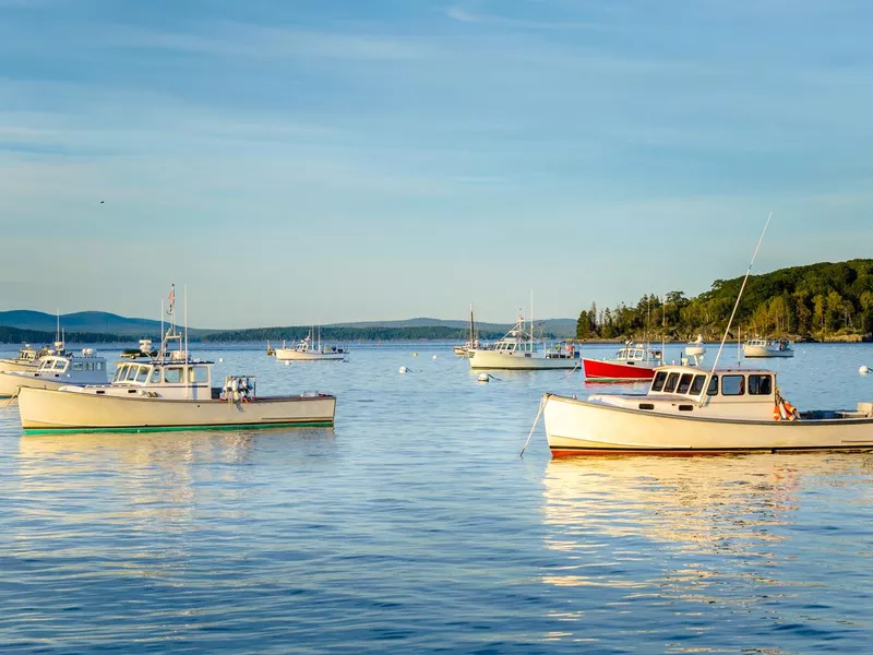 Fishing Boats Anchored in Calm Waters at Sunset