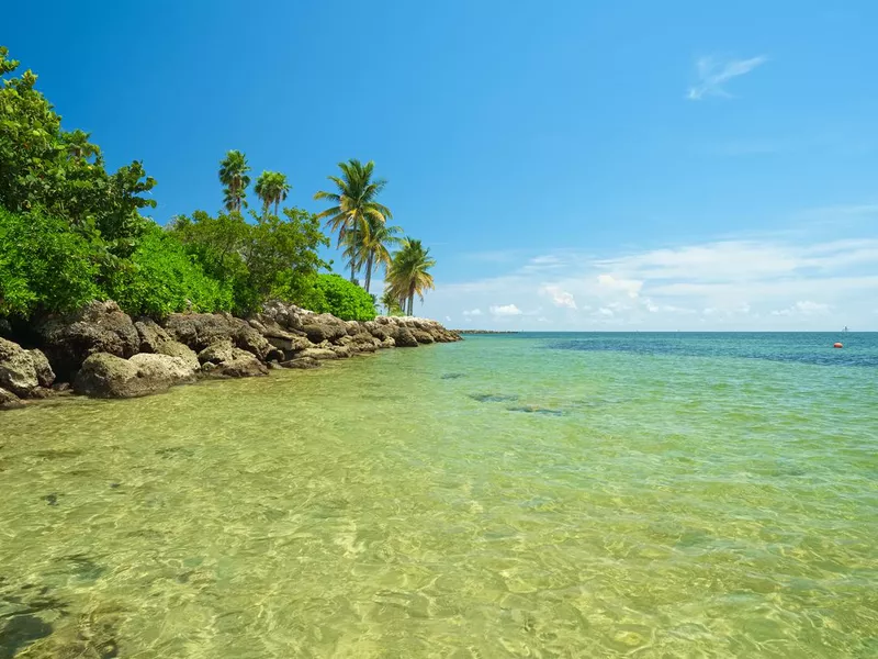 Beach in Biscayne National Park