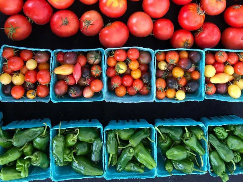 Tomatoes and peppers at Portland Farmers Market