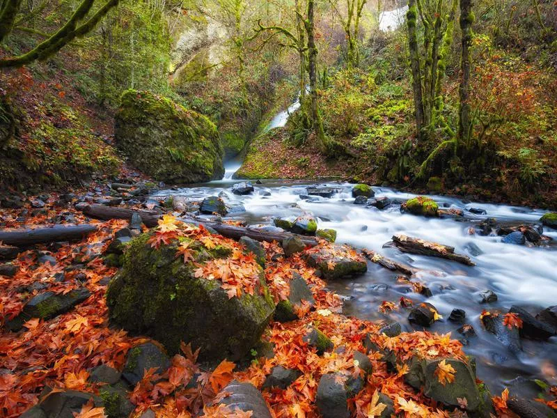 Columbia River Gorge, Oregon