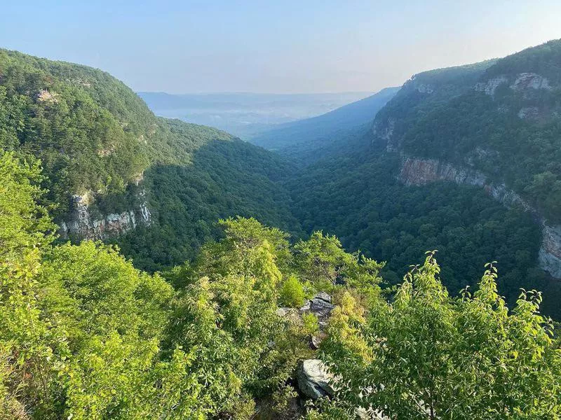 Cloudland Canyon