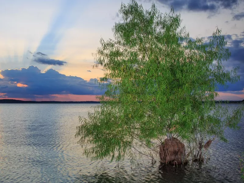 Canyon Lake, Texas