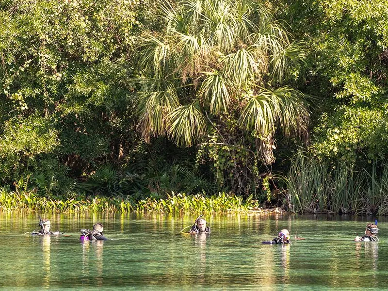 Alexander springs