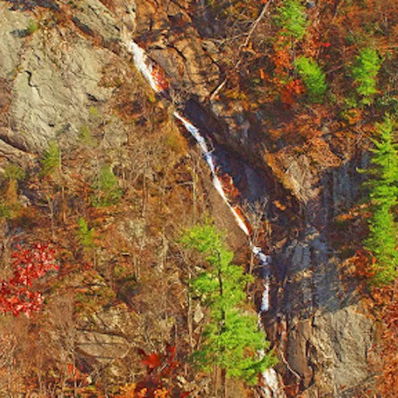 Bent Mountain Falls