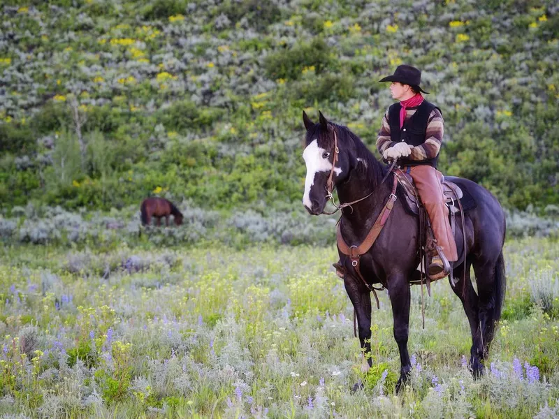 Cowboy in Montana