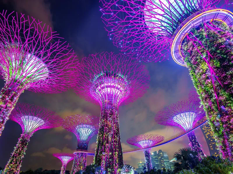 Super tree in Garden by the Bay, Singapore.