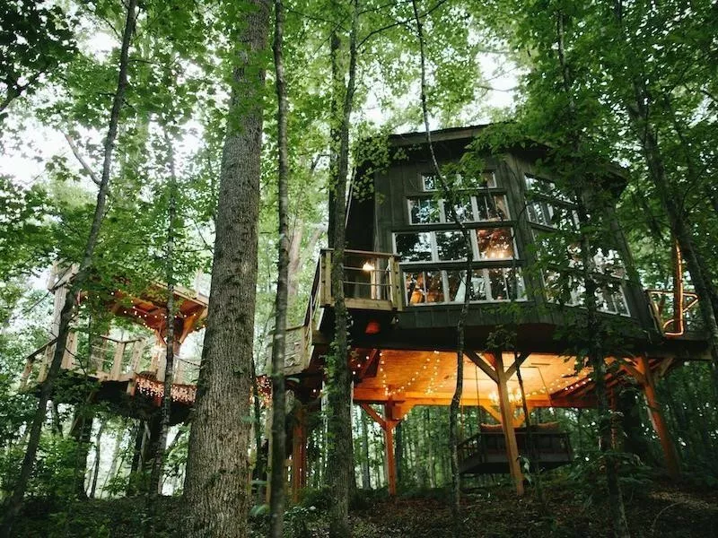 Bolt Treehouse