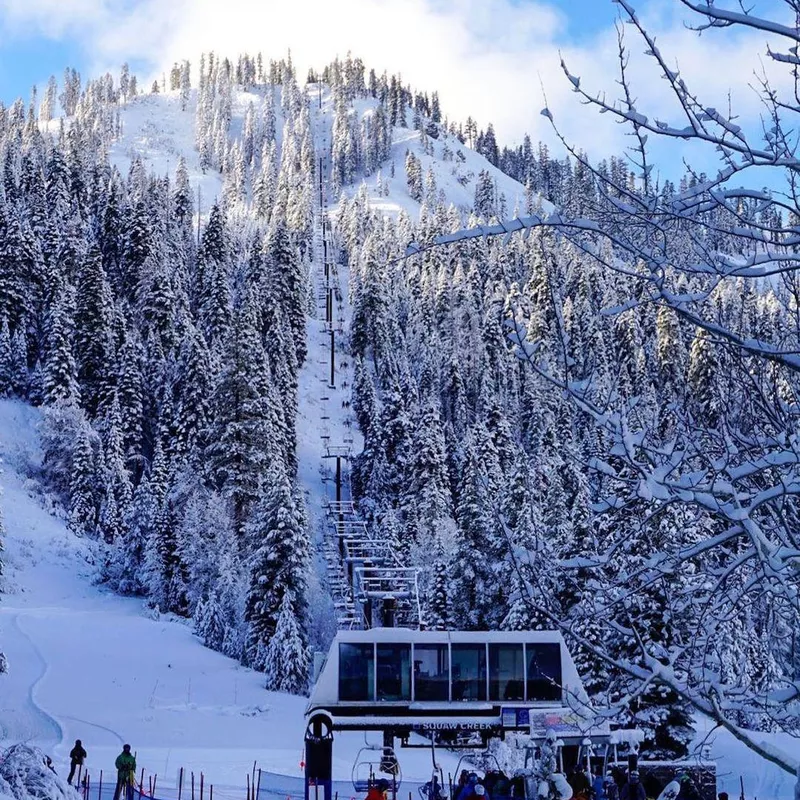 Snow mountain with trees and chairlift