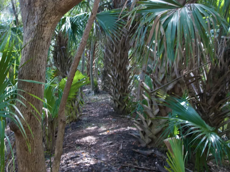 Black Bear Wilderness Area Trail