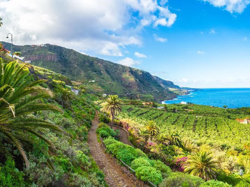 Canary Islands