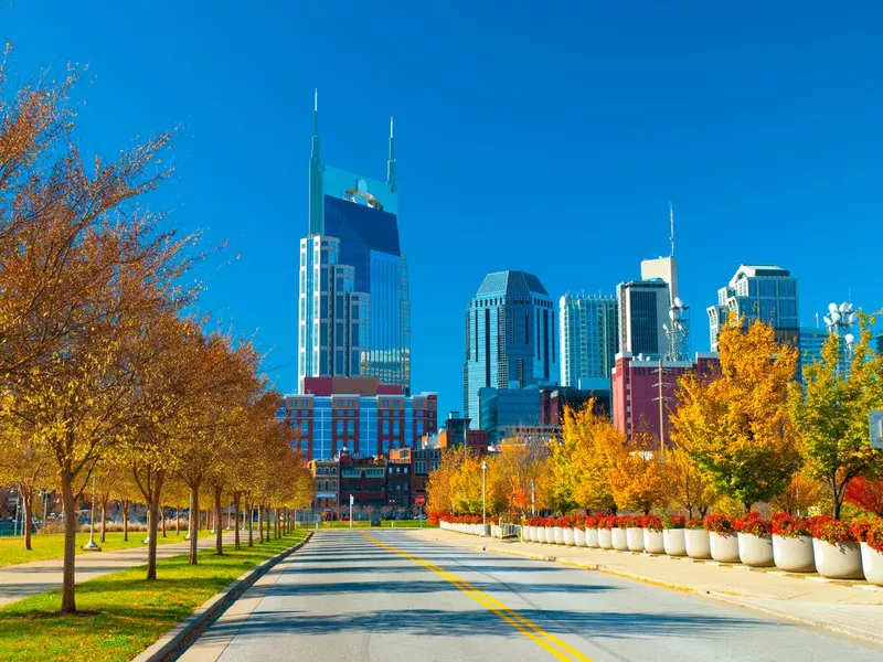 Nashville skyline and Fall Plants