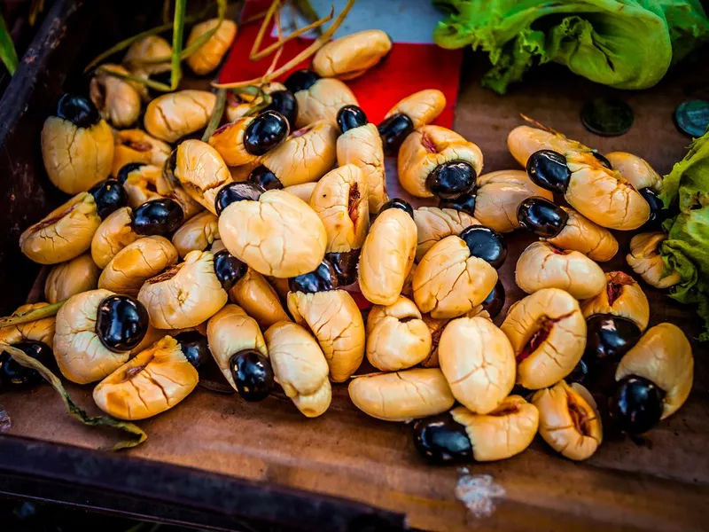 Ackee plants