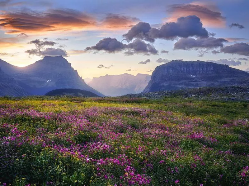 Spring at Glacier National Park