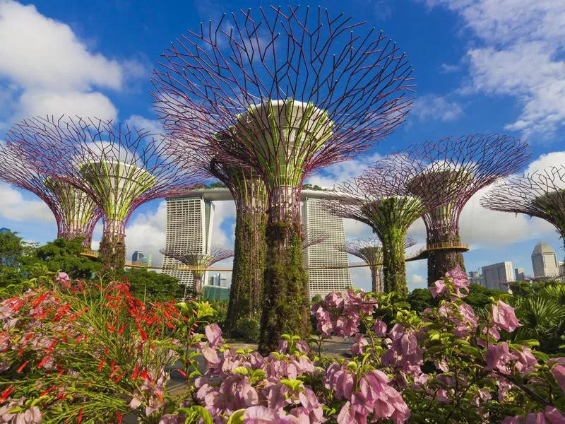 Gardens by the Bay in Singapore