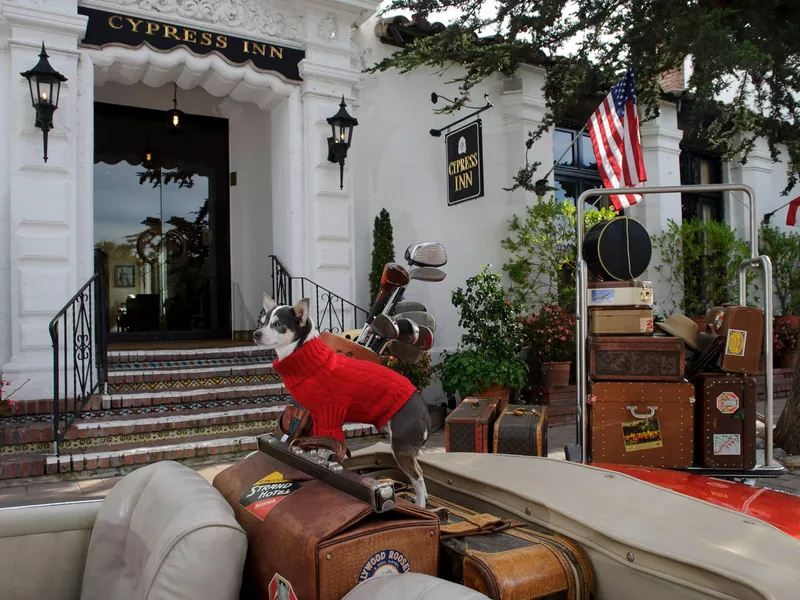 Traveling dog in Carmel-by-the-Sea