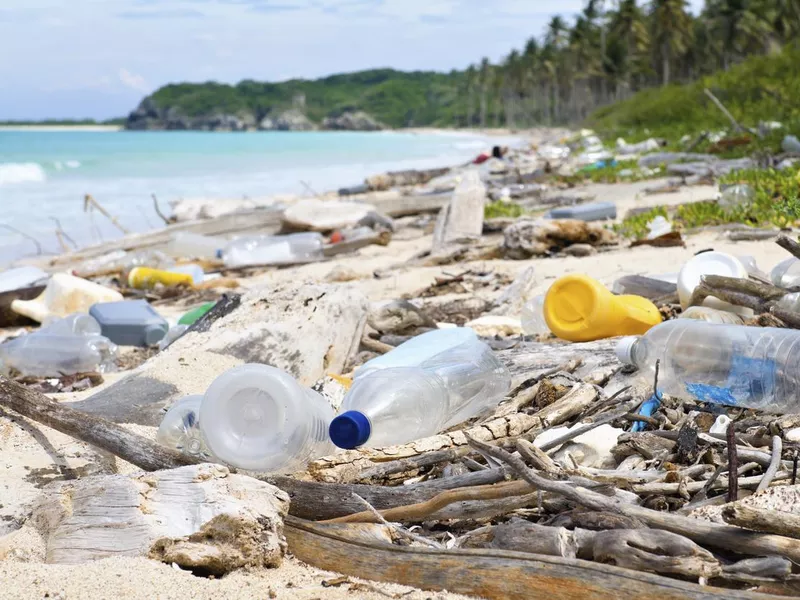 Total pollution on a tropical beach