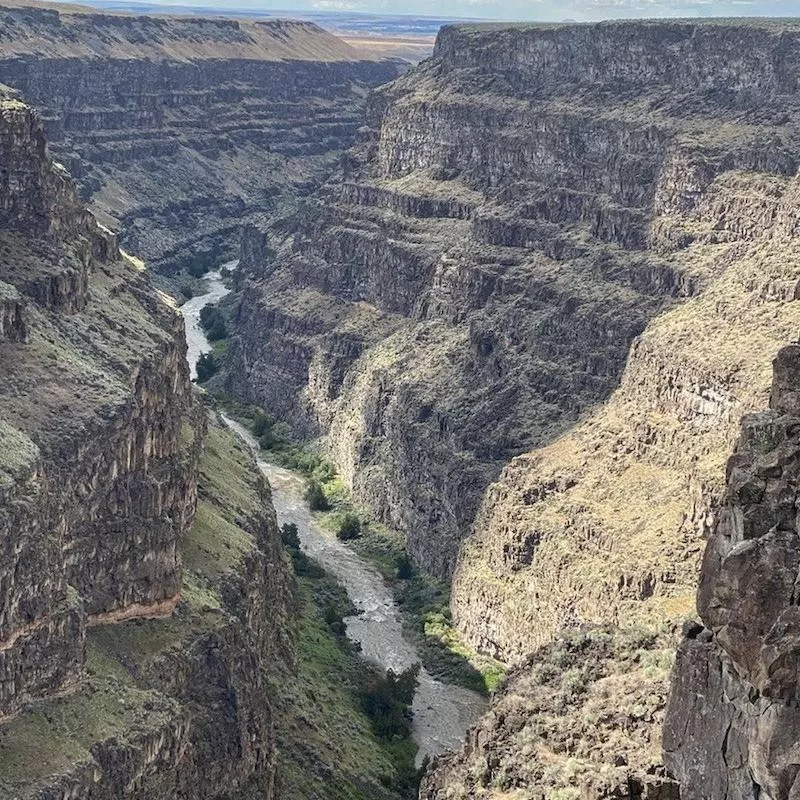 Bruneau Canyon Overlook