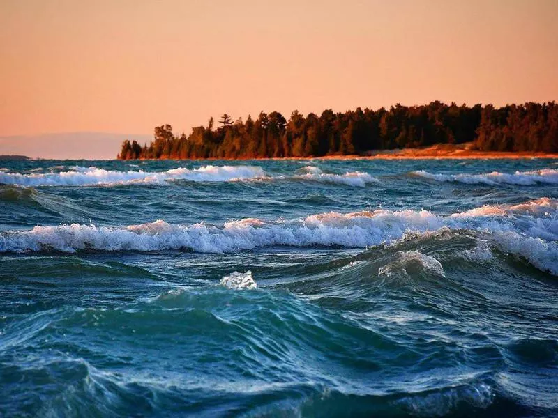 Waves and forest at Wilderness State Park