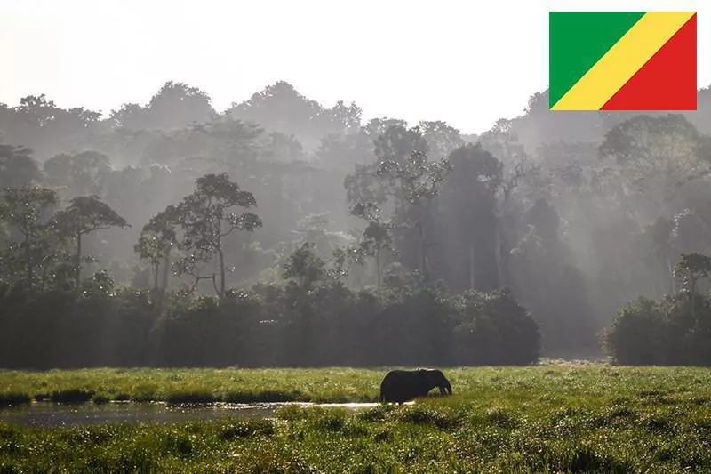 Parc National Nouabalé-Ndoki in Republic of the Congo