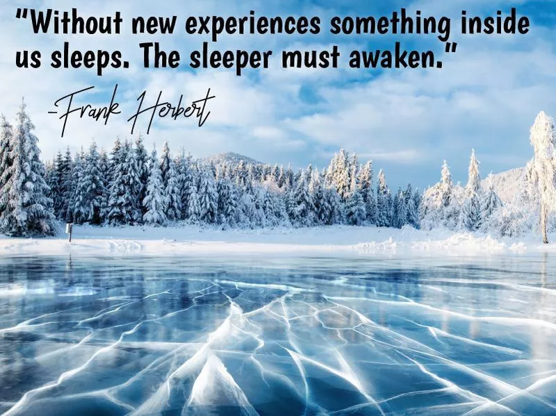 Frank Herbert on new experiences