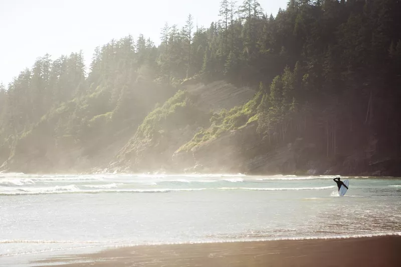 Surfer at Oswald West State Park