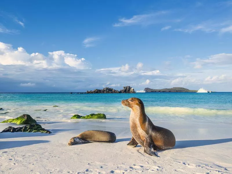 Galapagos Islands