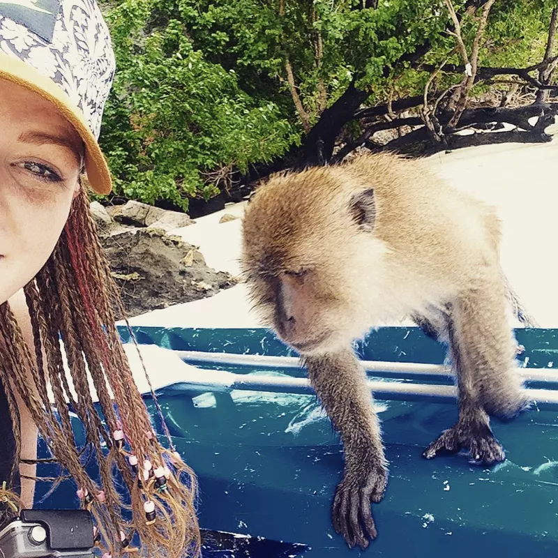 Monkey selfie