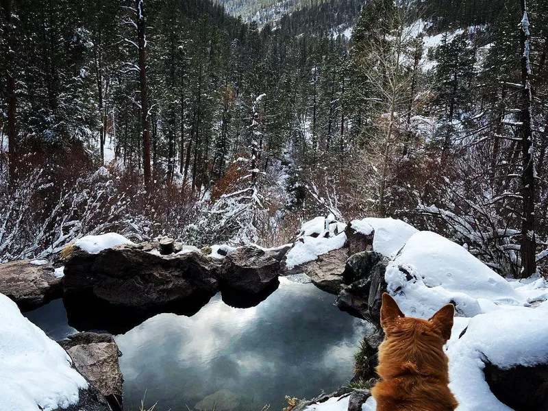 New Mexico hot springs